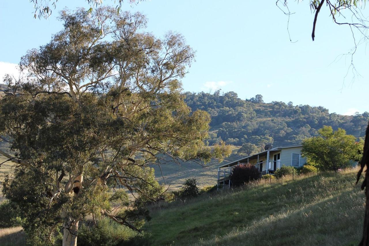 Elm Cottage Tumut Exteriér fotografie
