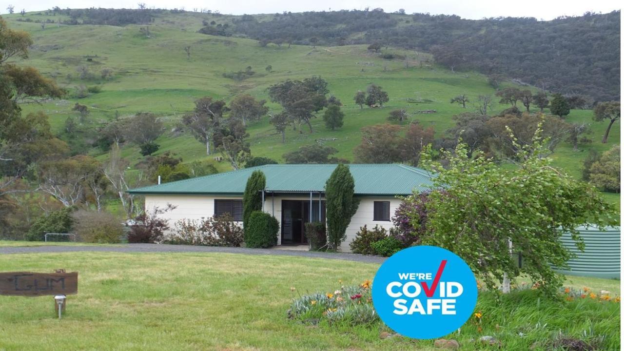 Elm Cottage Tumut Exteriér fotografie