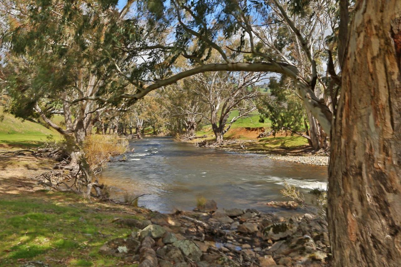 Elm Cottage Tumut Exteriér fotografie