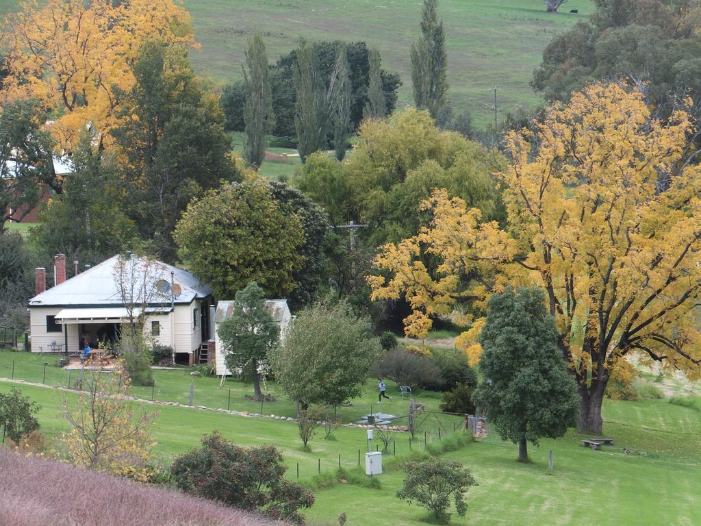 Elm Cottage Tumut Exteriér fotografie