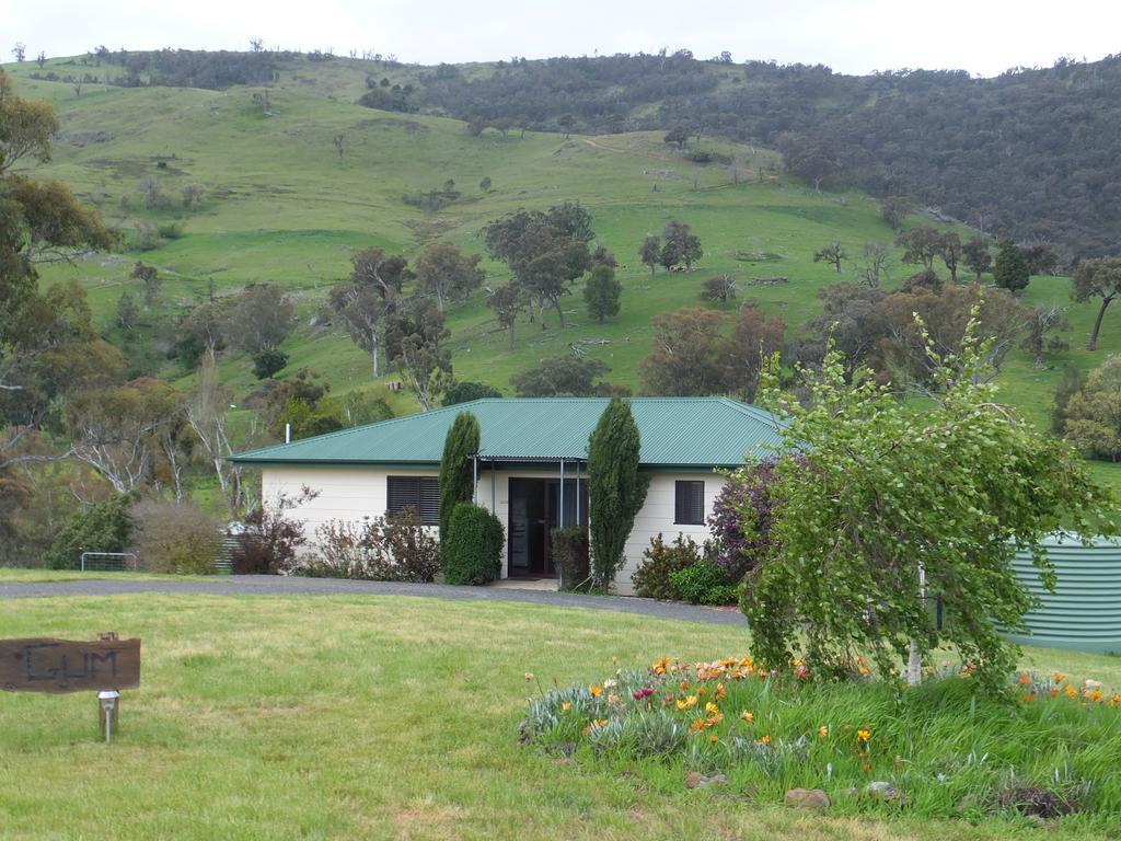Elm Cottage Tumut Exteriér fotografie