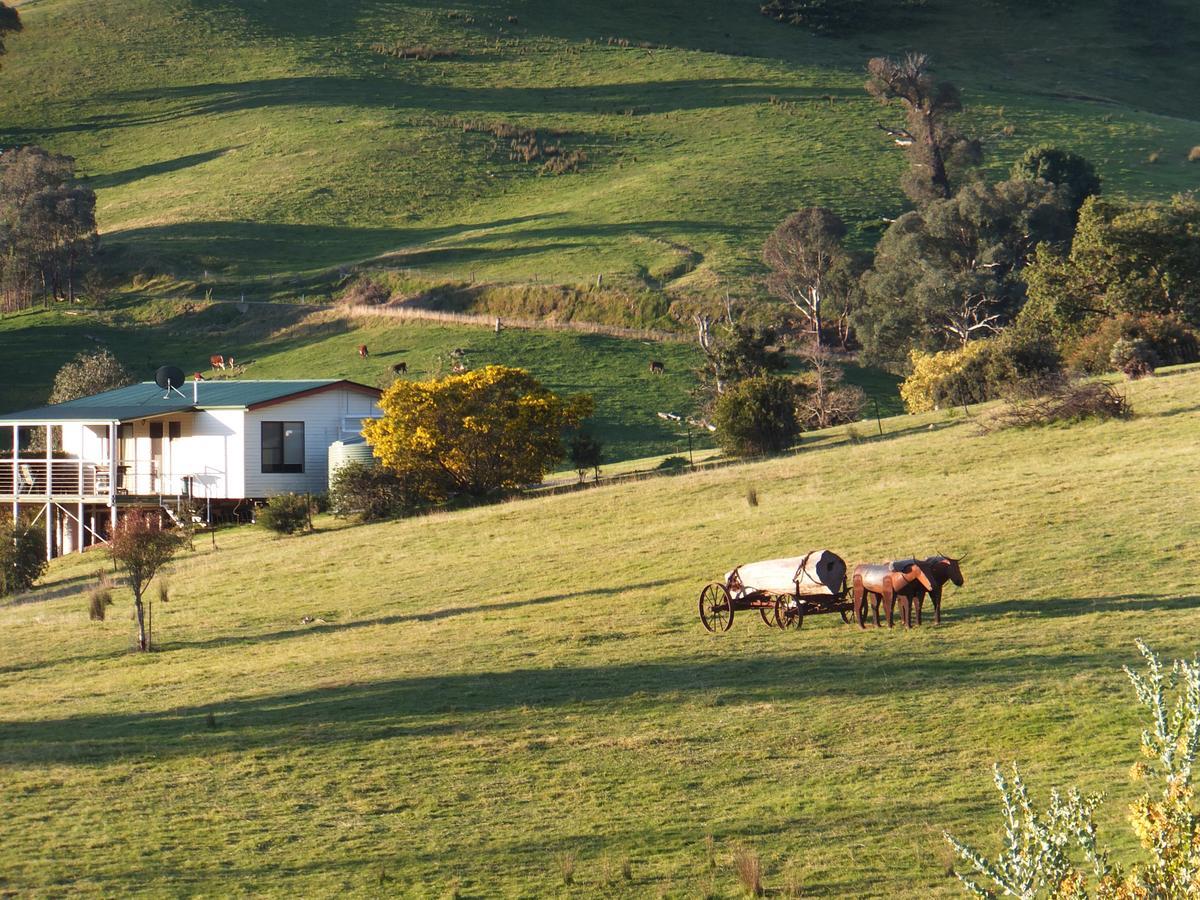 Elm Cottage Tumut Exteriér fotografie