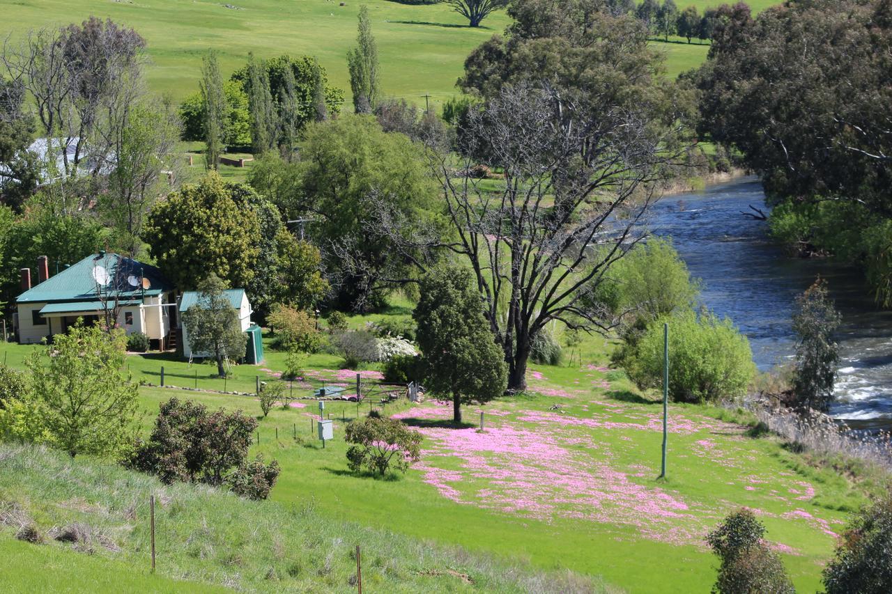 Elm Cottage Tumut Exteriér fotografie